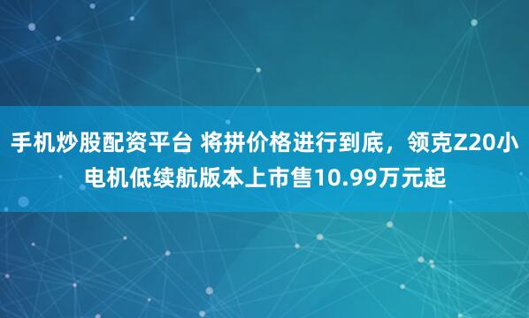 手机炒股配资平台 将拼价格进行到底，领克Z20小电机低续航版本上市售10.99万元起