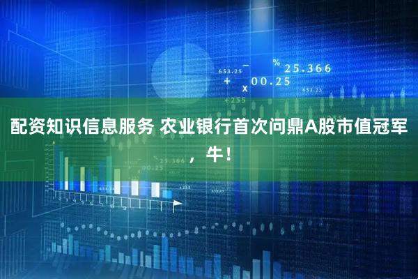 配资知识信息服务 农业银行首次问鼎A股市值冠军，牛！