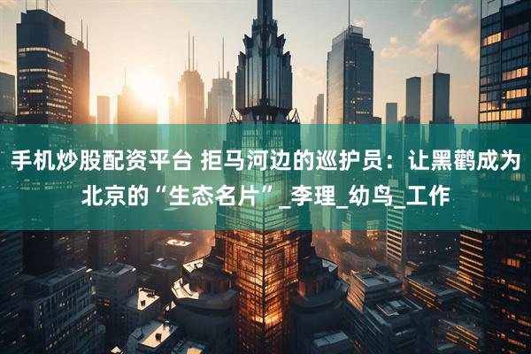 手机炒股配资平台 拒马河边的巡护员:让黑鹳成为北京的“生态名片”_李理_幼鸟_工作